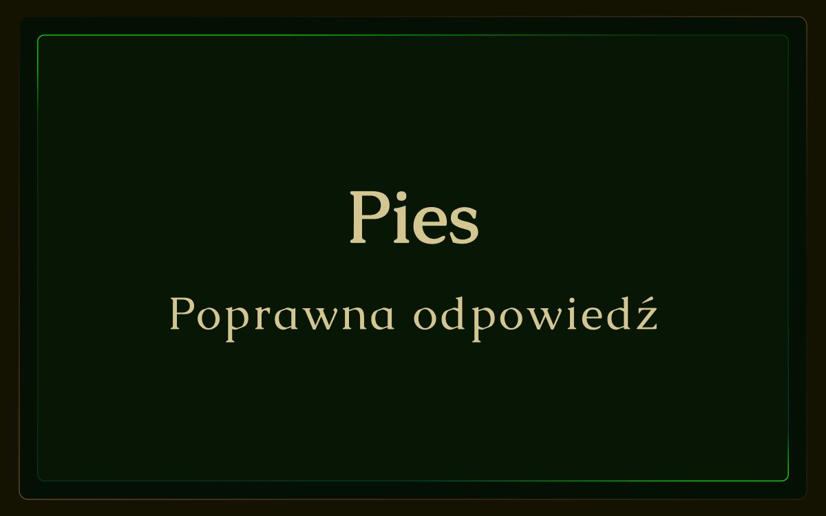 Ekran poprawnej odpowiedzi